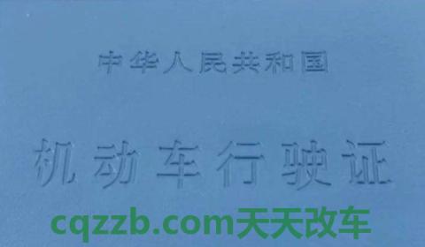 分析一下：行驶证需要随身携带吗(机动车行驶证上都有哪些信息)  第2张